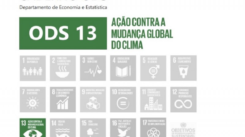 ods 13