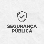 segurança pública